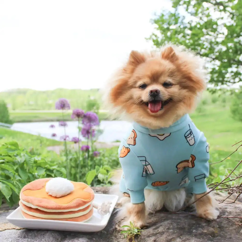 Dog Pajama - Breakfast Blue