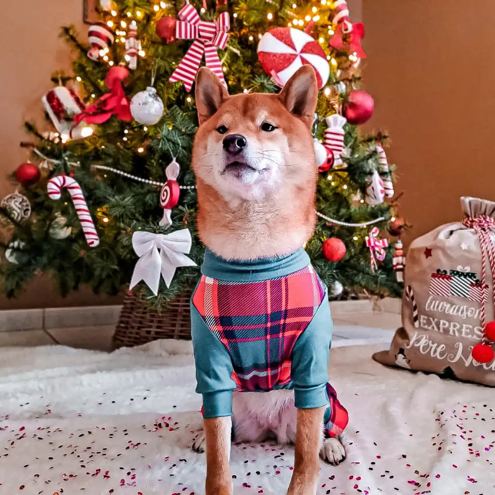 Dog Pajama - Green and Red Plaid
