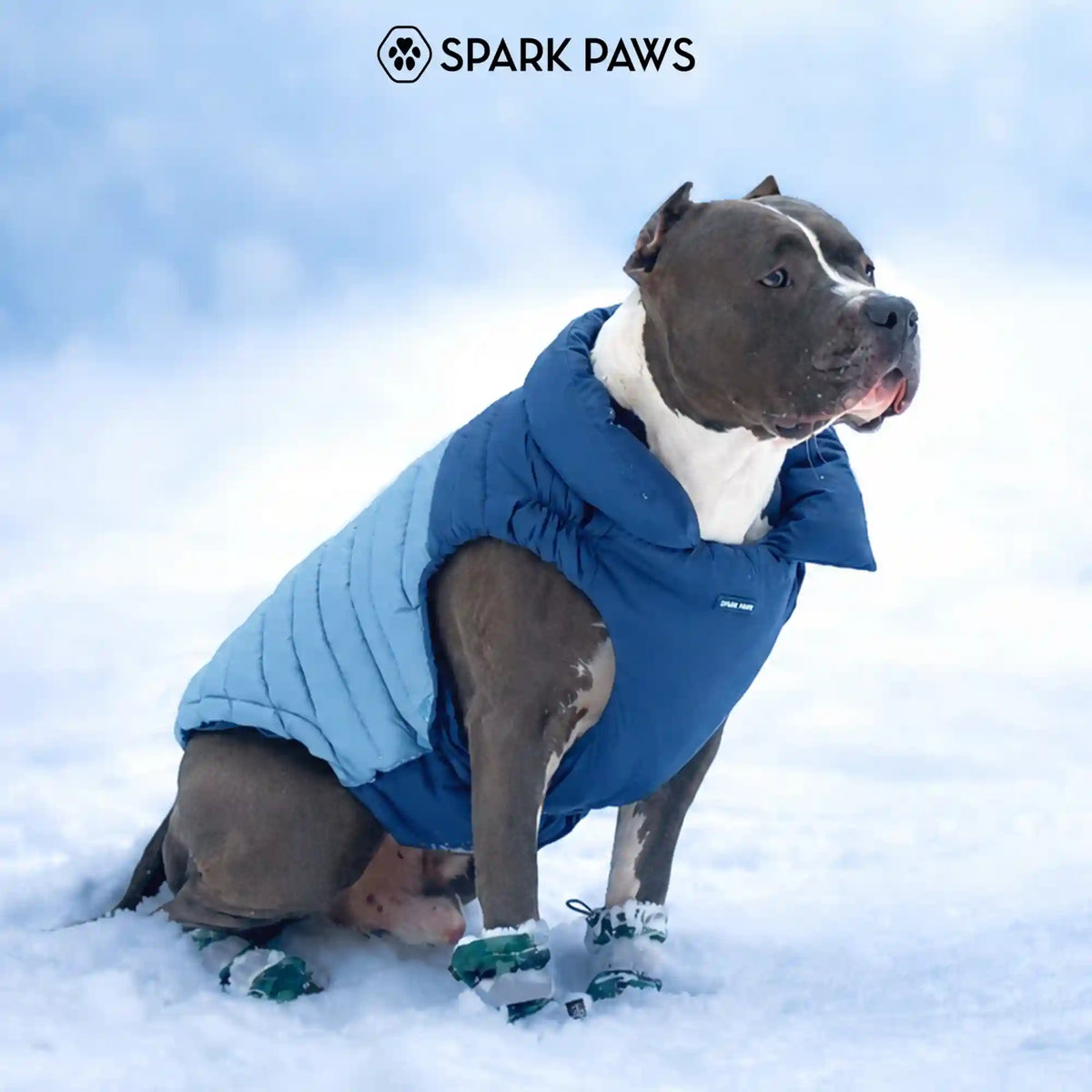 PuffShield Winter Jacket - Blue