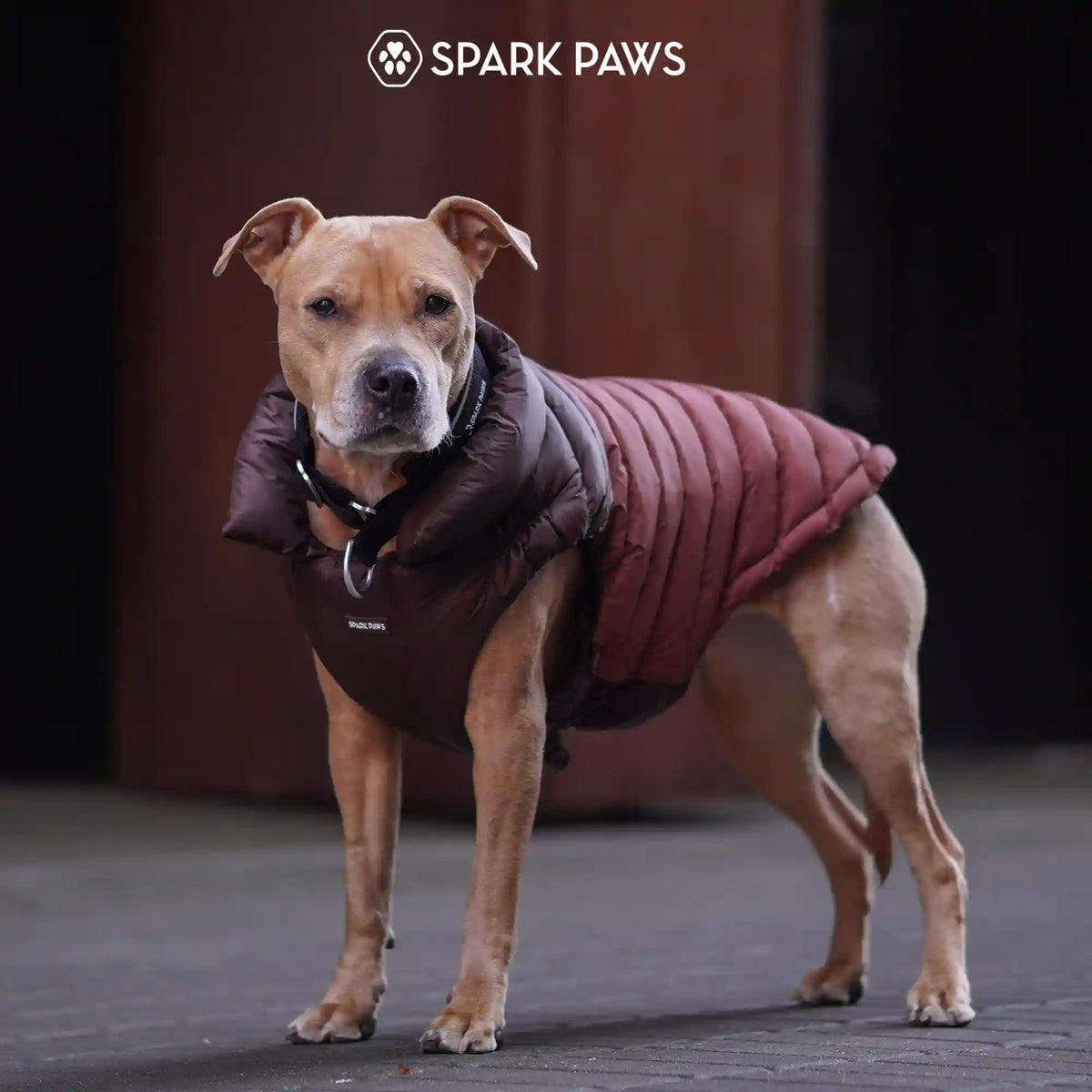 PuffShield Winter Jacket - Brown