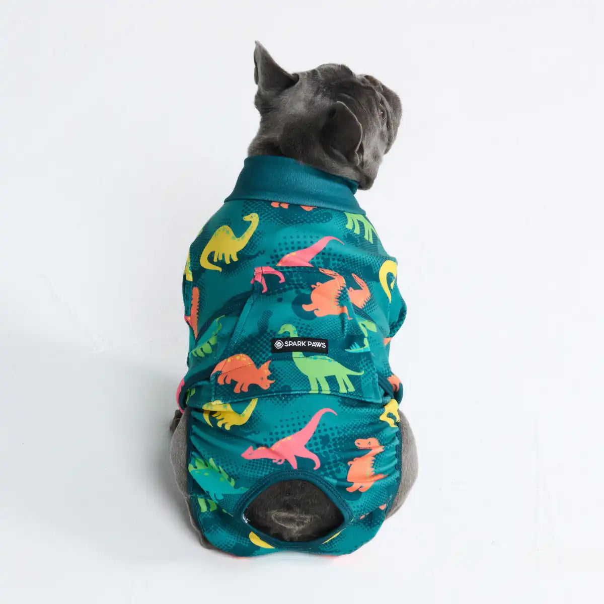 Dog Surgical Suit - Dinosaurs