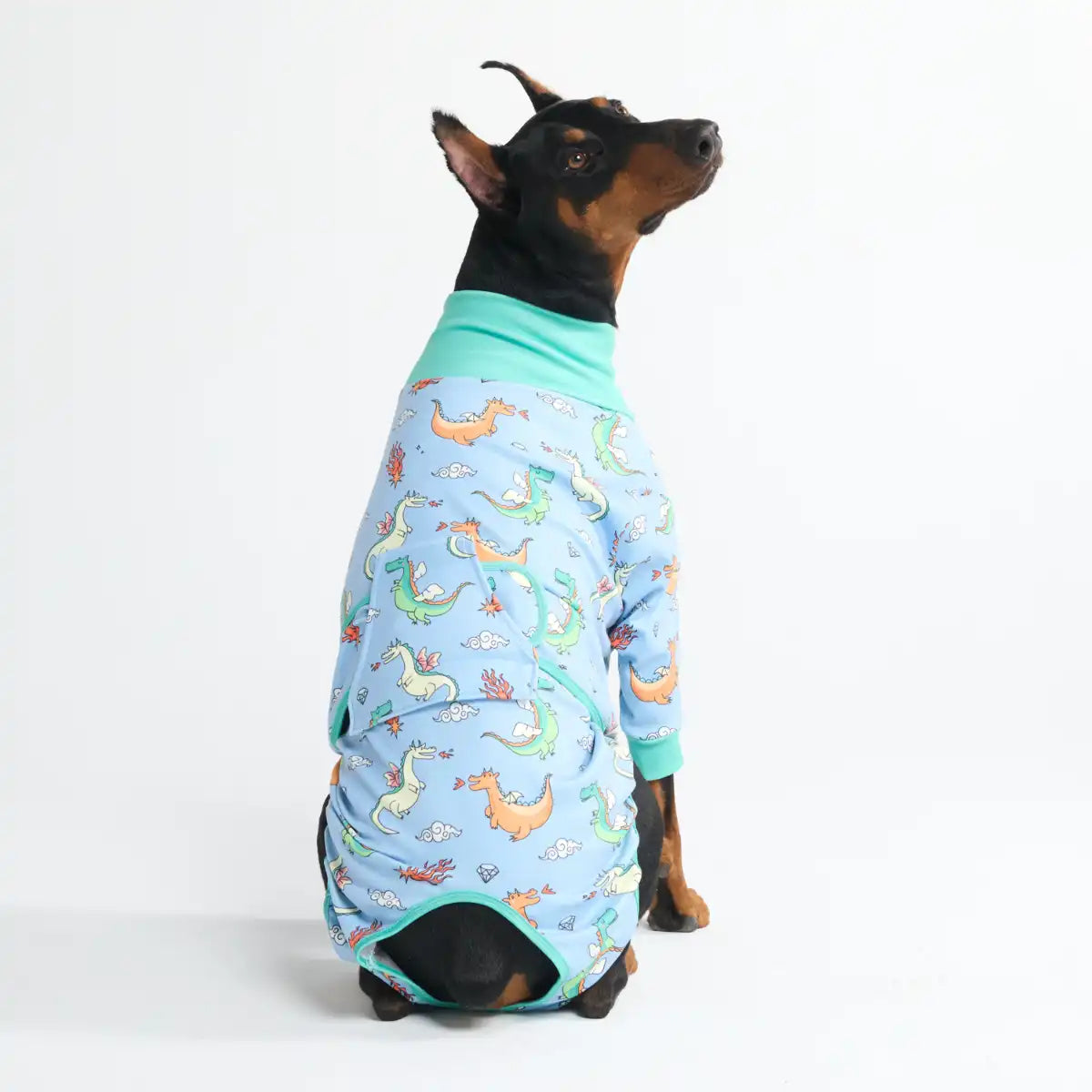 Dog Surgical Suit - Dragons