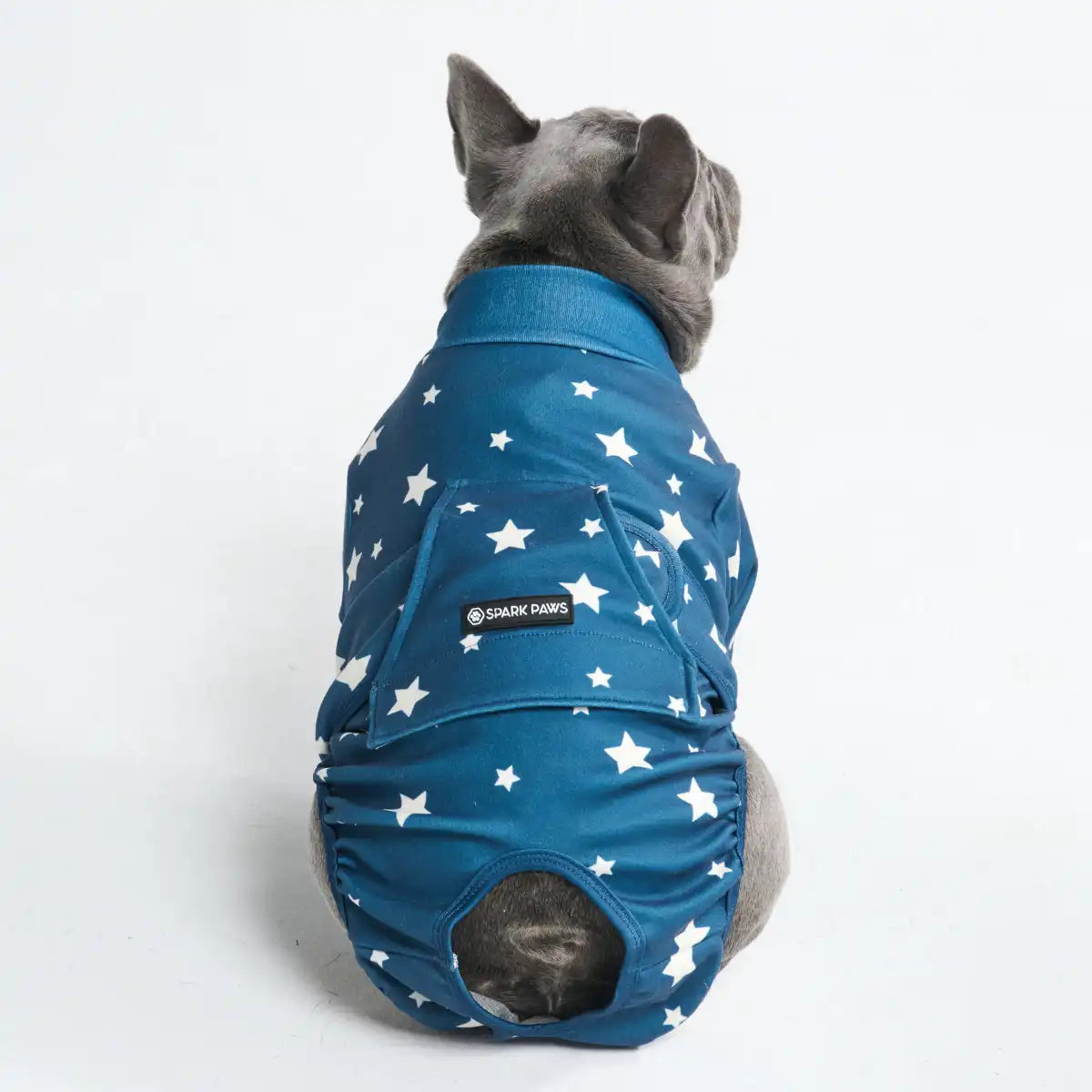 Dog Surgical Suit - Stars