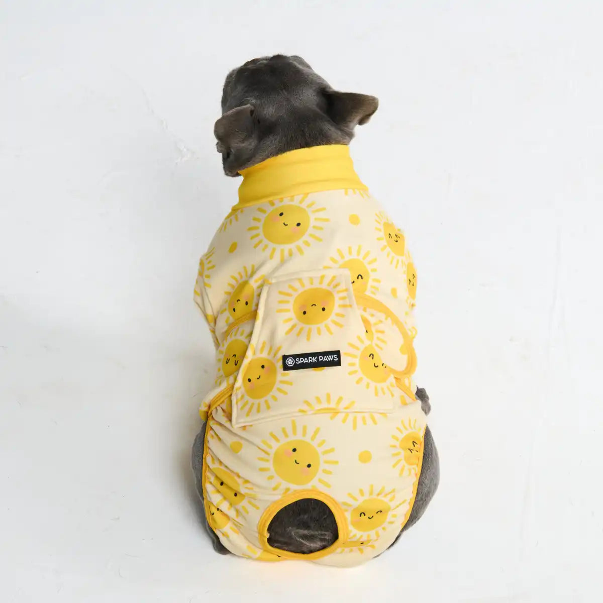 Dog Surgical Suit - Sunshine