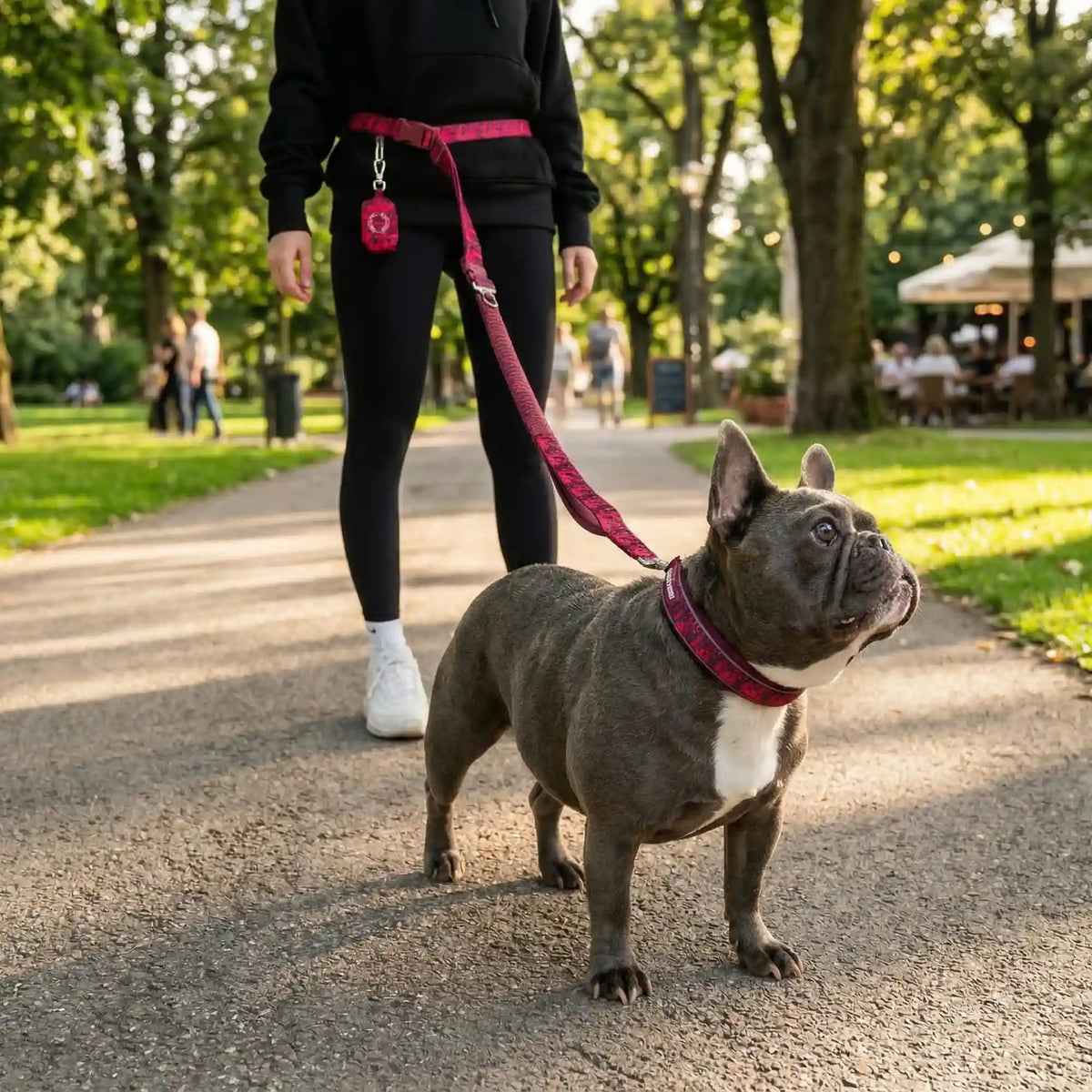 Martingale Collar and Multipurpose Leash Set - Fuchsia Camo