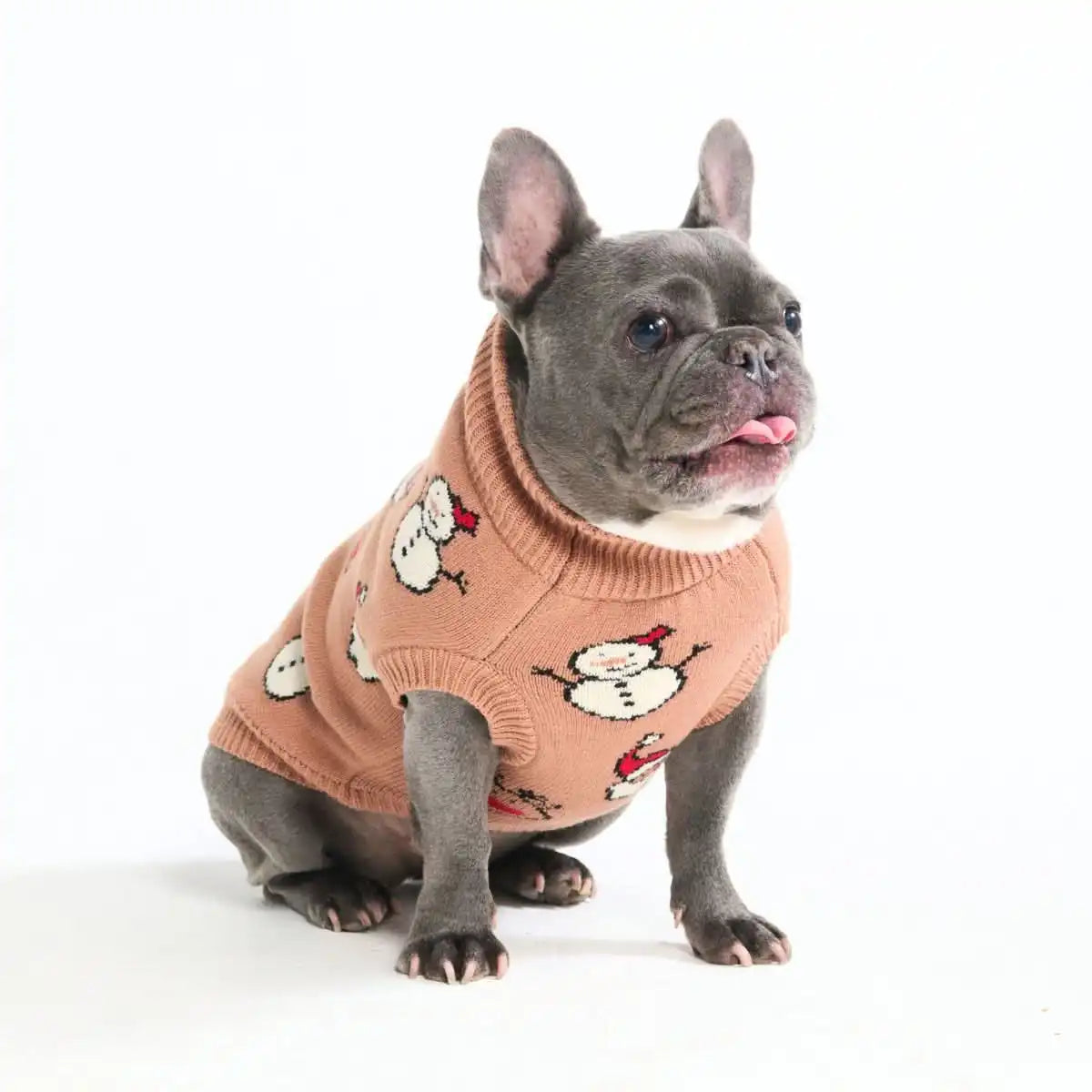 Christmas Knit Dog Sweater - Santa & Rudolph
