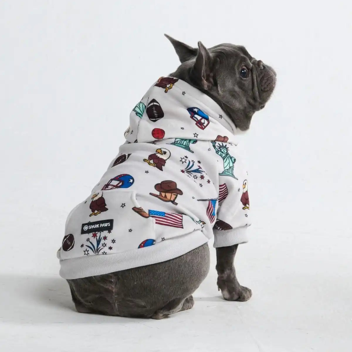 Around the World Dog Hoodies