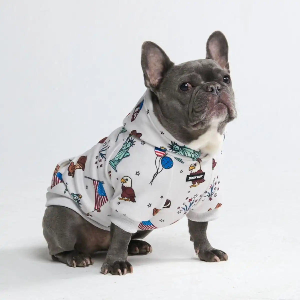 Around the World Dog Hoodies