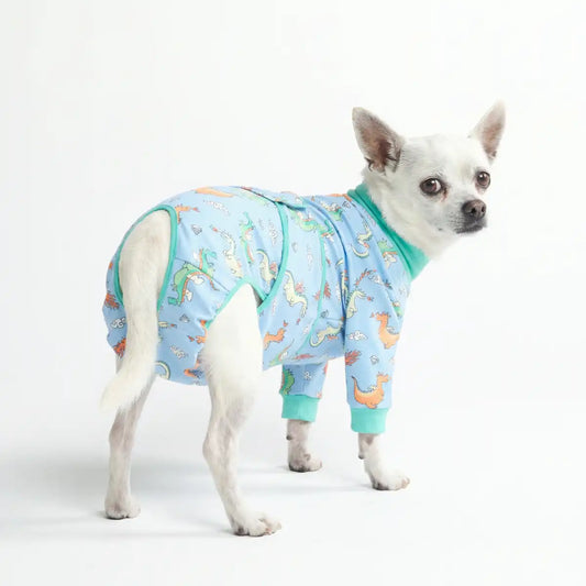 Dog Surgical Suit - Dragons