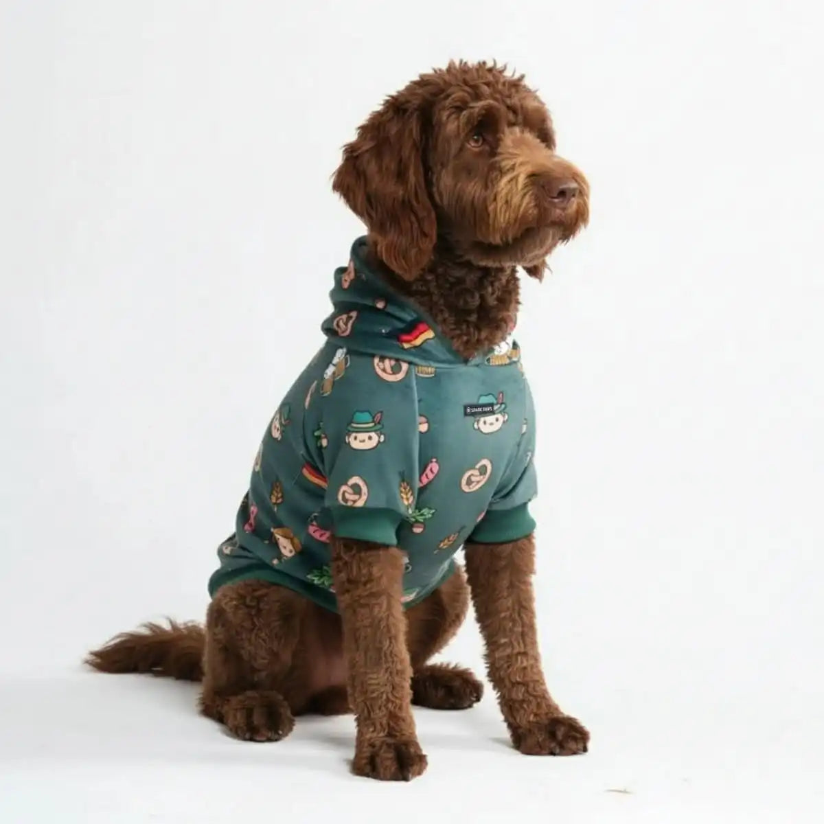 Around the World Dog Hoodies