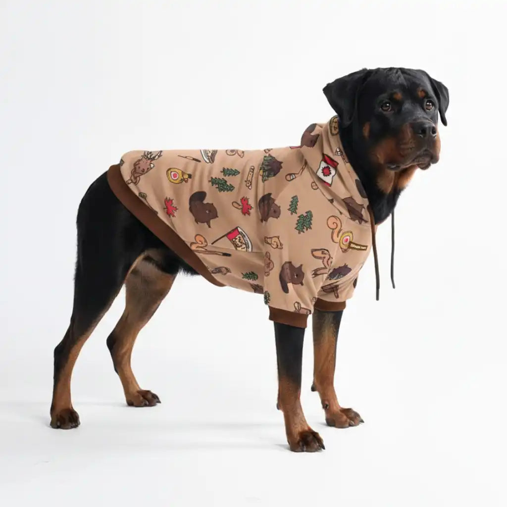 Around the World Dog Hoodies