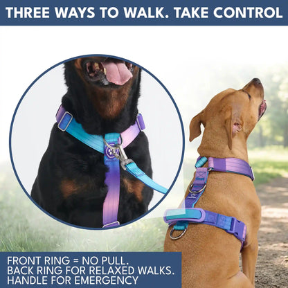 Comfort Control No-Pull Dog Harness and Multipurpose Leash Set - 90s Retro