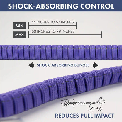 Comfort Control No-Pull Dog Harness and Multipurpose Leash Set - 90s Retro