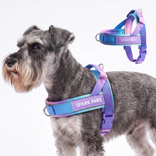 Grab & Go Harness - 90s Retro