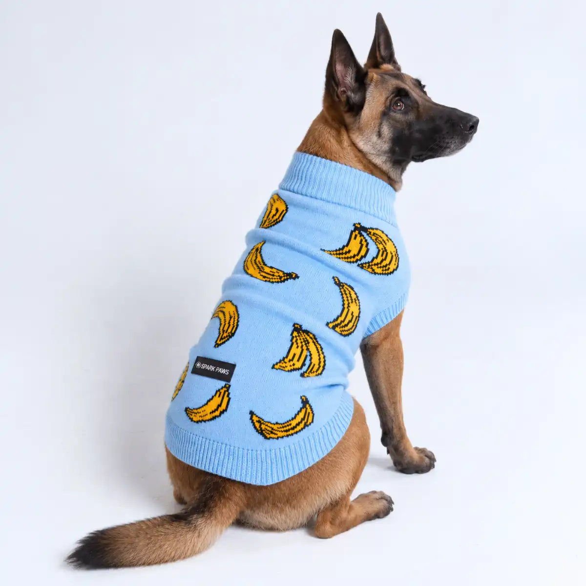 Banana Knit Dog Sweater