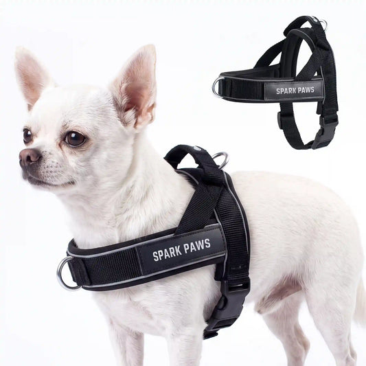 Grab & Go Harness - Black