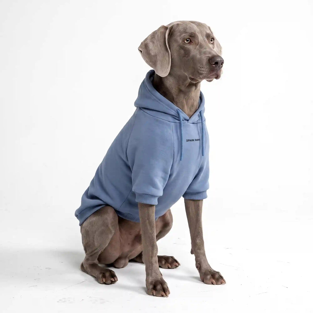 Essential Dog Hoodie - Slate Blue