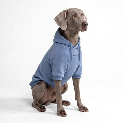 Essential Dog Hoodie - Slate Blue