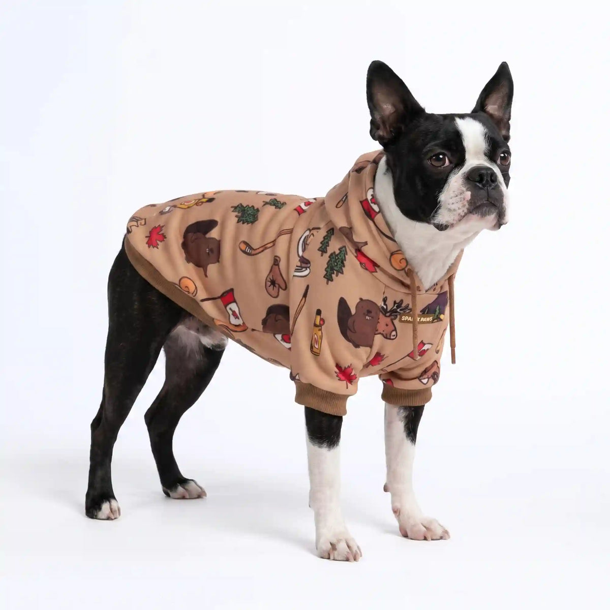 Around the World Dog Hoodies