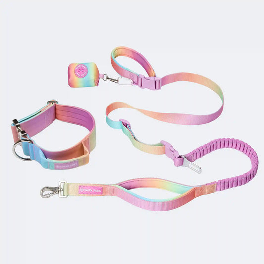 Comfort Control Collar and Multipurpose Leash Set - Pastel Icing