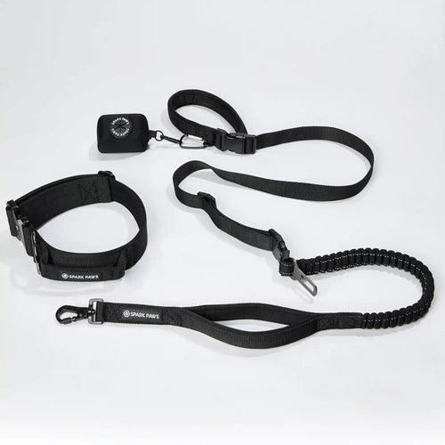 Comfort Control Collar and Multipurpose Leash Set - Black