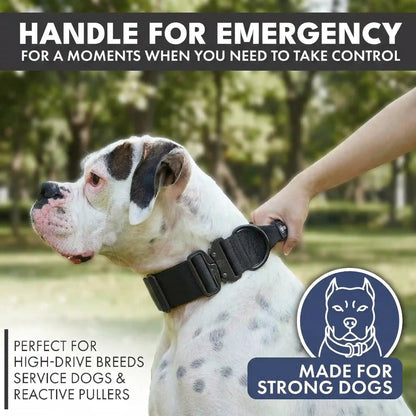 Comfort Control Collar and Multipurpose Leash Set - Black