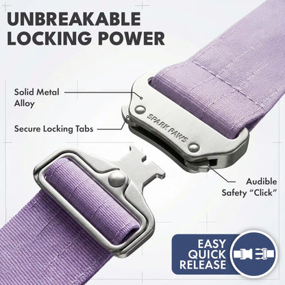 Comfort Control Collar and Multipurpose Leash Sets