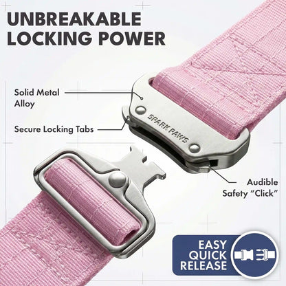 Comfort Control Collar and Multipurpose Leash Set - Pink