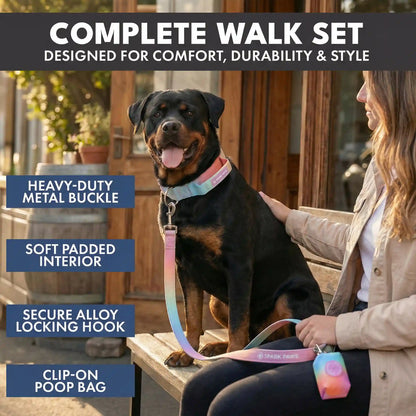 Comfort Control Collar Set - Pastel Icing