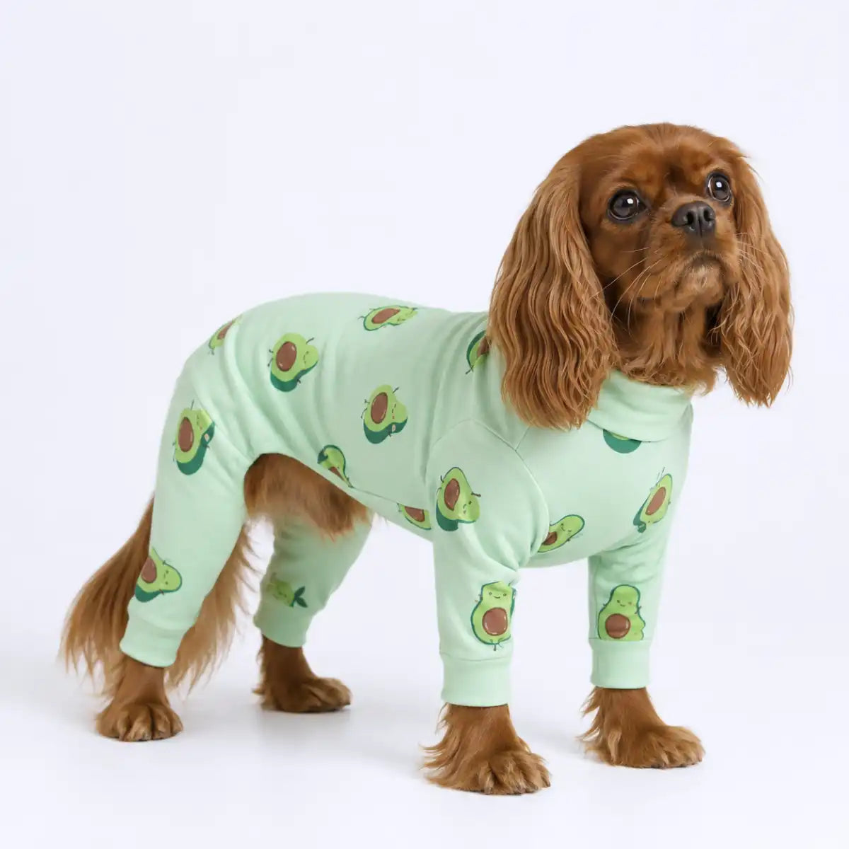 Dog Pajama - Avocado