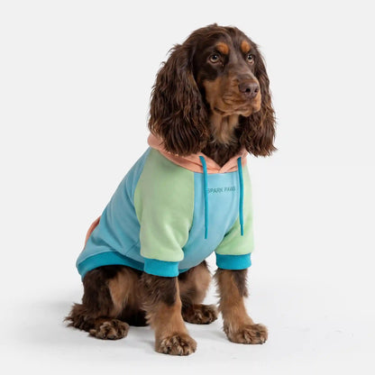 Color Block Dog Hoodies