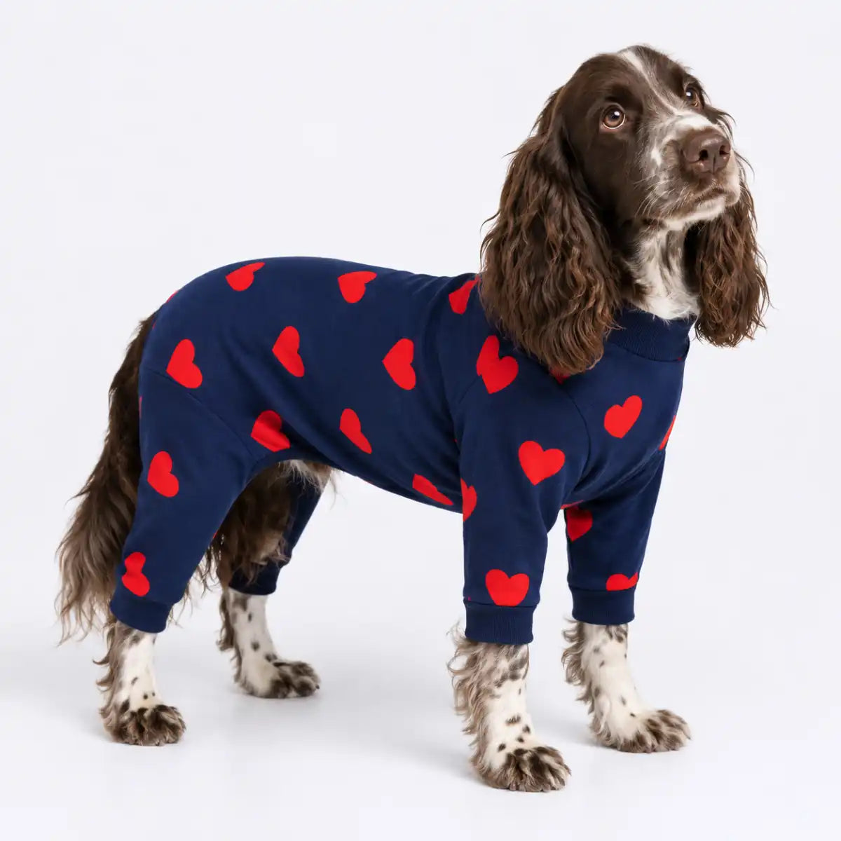 Dog Pajama - Hearts