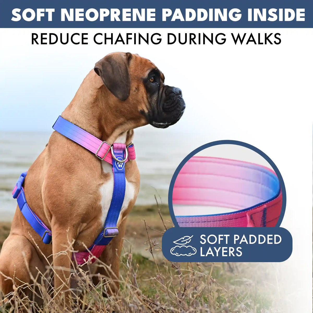 Comfort Control No-Pull Dog Harness - Snow Cone