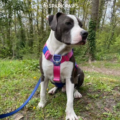 Comfort Control No-Pull Dog Harness - Snow Cone