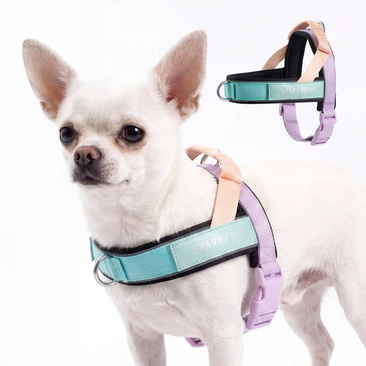 Grab & Go Harness - Cyber Punk