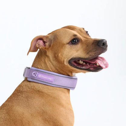 Cushioned Martingale Collar - Lilac