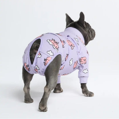 Dog Surgical Suit  2-pack