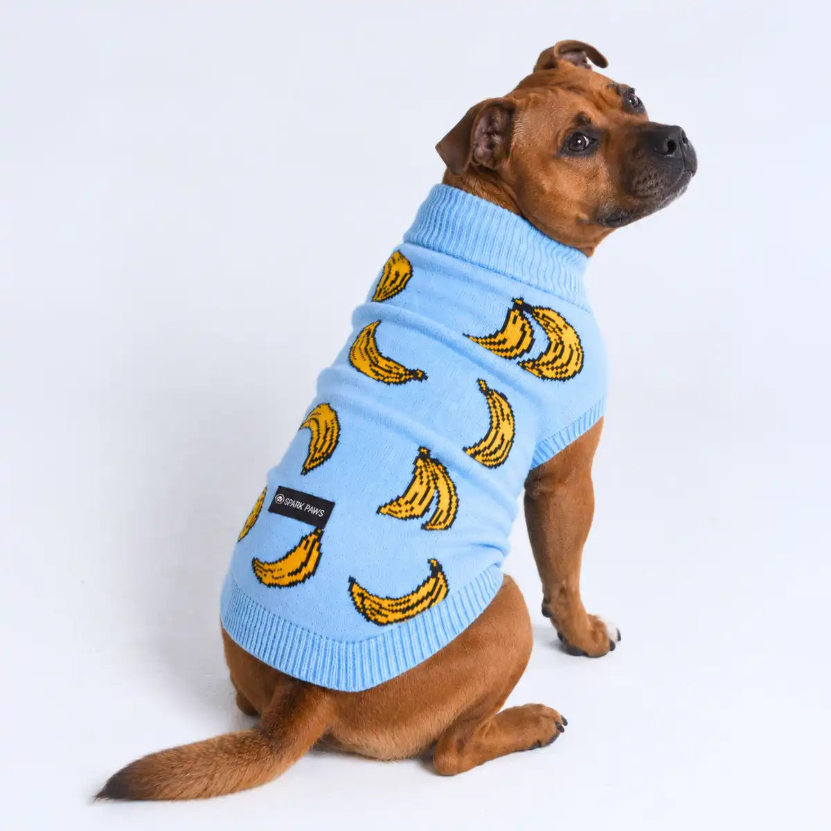 Banana Knit Dog Sweater