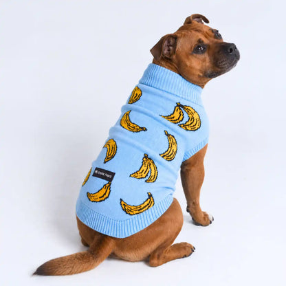 Banana Knit Dog Sweater