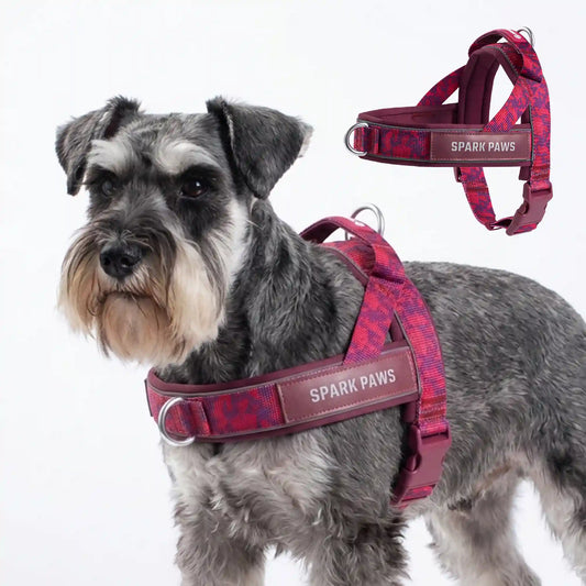 Grab & Go Harness - Fuchsia Camo
