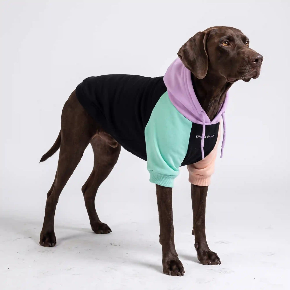 Cyber Punk Dog Hoodie