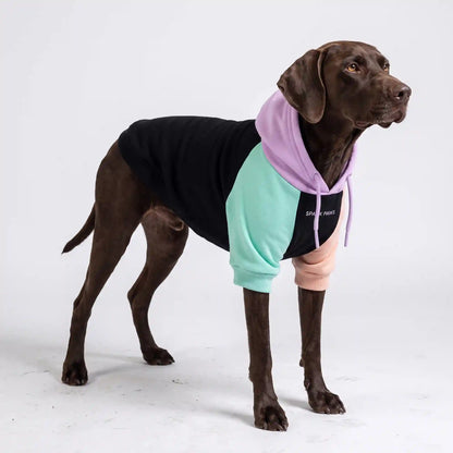 Cyber Punk Dog Hoodie