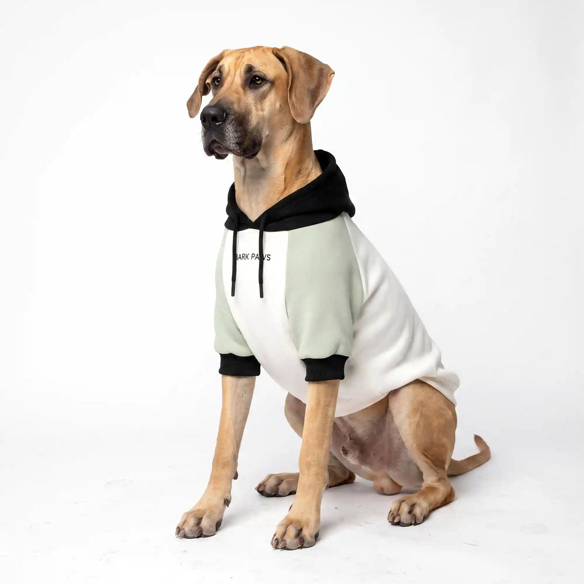 Olive Cream Dog Hoodie