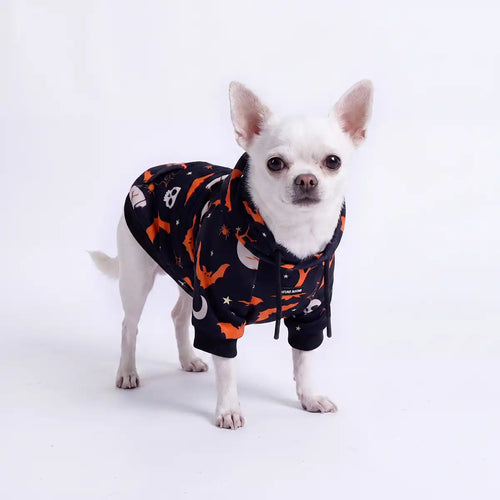 Halloween Dog Hoodie - Black