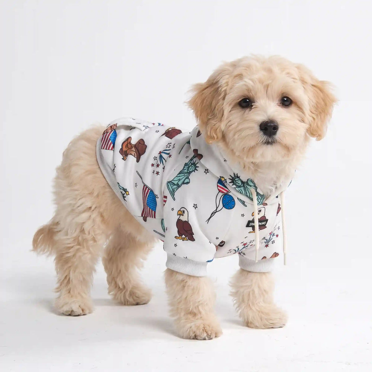 The USA Dog Hoodie - Grey