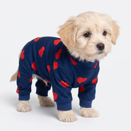 Dog Pajama - Hearts