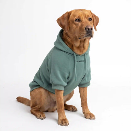 Essential Dog Hoodie - Teal