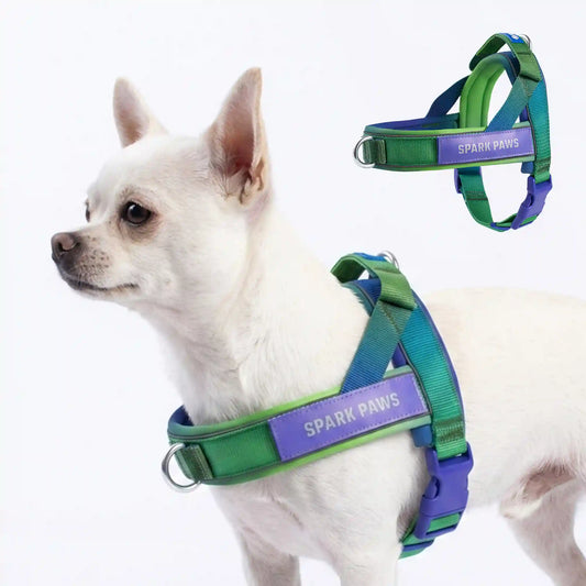Grab & Go Harness - Lime Wave