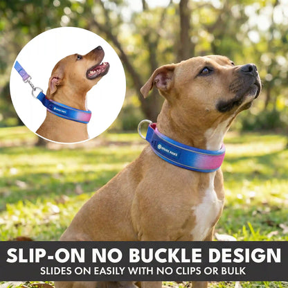 Martingale Collar and Multipurpose Leash Set - Snow Cone