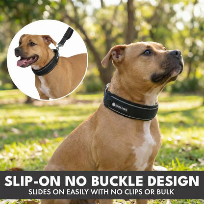 Martingale Collar and Multipurpose Leash Set - Black